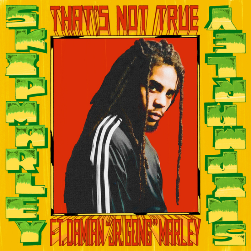 Skip Marley That S Not True Ft Damian Jr Gong Marley 歌詞 和訳 Buzzle Magazine